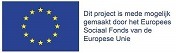 logo esf De Wilde